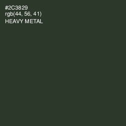 #2C3829 - Heavy Metal Color Image